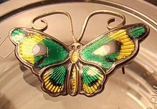 David anderson butterfly - david,